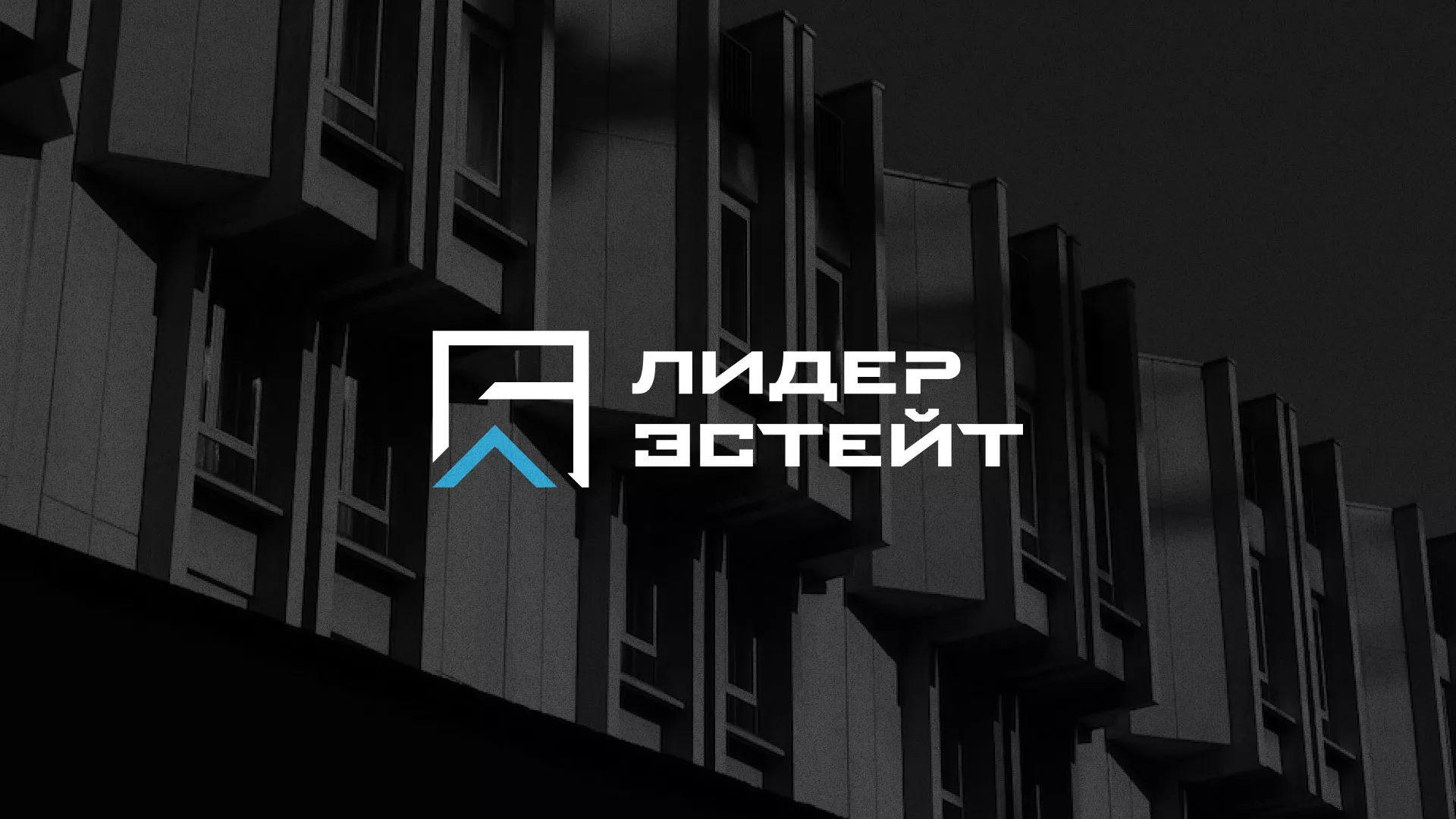 Разработка логотипа агентства недвижимости «Лидер Эстейт» в Мантурово
